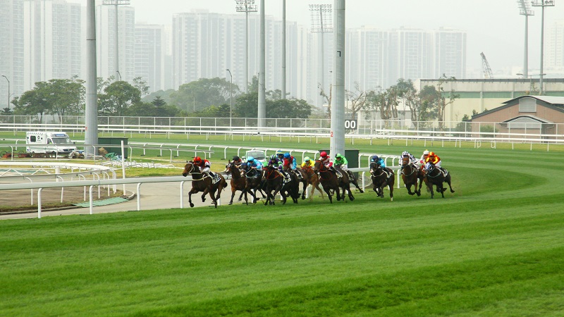 香港188賽馬|188賽馬競爭示意圖